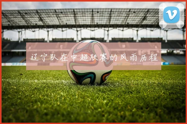 辽宁队在中超联赛的风雨历程